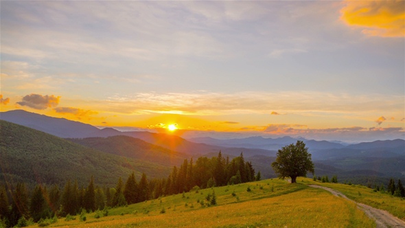 The Mountain Forest on the Background of the Sunset alt