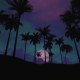 Palm Trees at Sunset And at Night - VideoHive Item for Sale