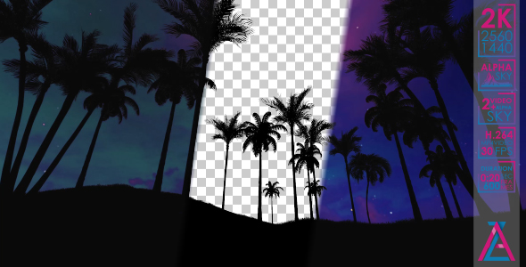 Palm Trees at Sunset And at Night alt