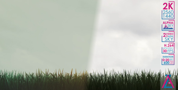 The Wind Blows on The Grass alt