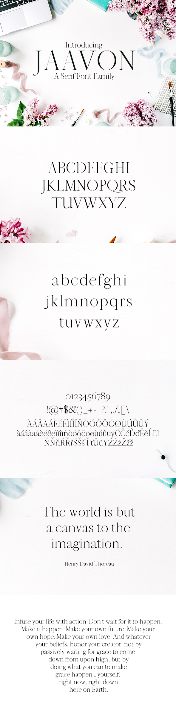 Jaavon Serif Font Family - Serif Fonts