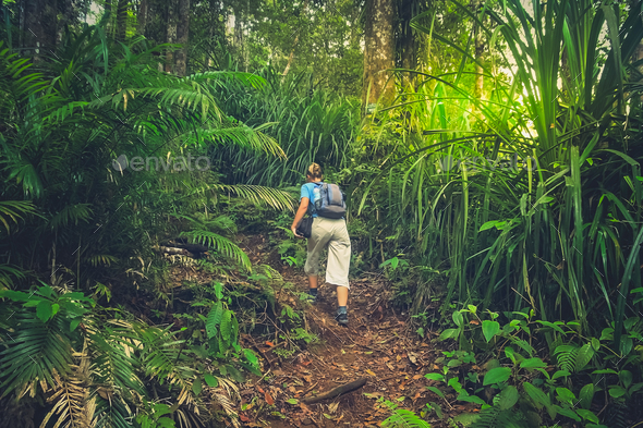 Girl walking up the jungle path to the summit of Gunung Rinjani