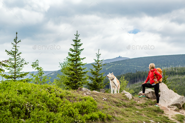 Happy woman hiking walking with dog in mountains, Poland