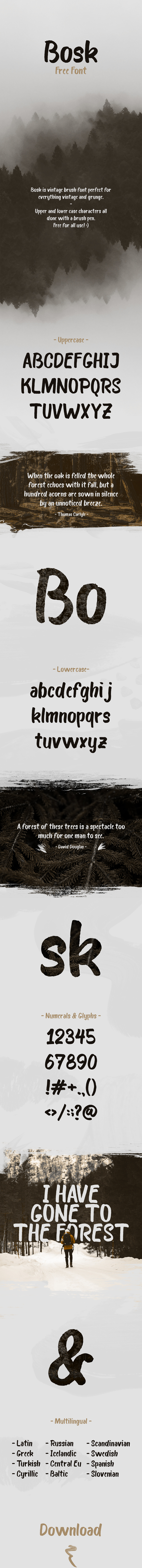 Bosk Brush Font - Hand-writing Script