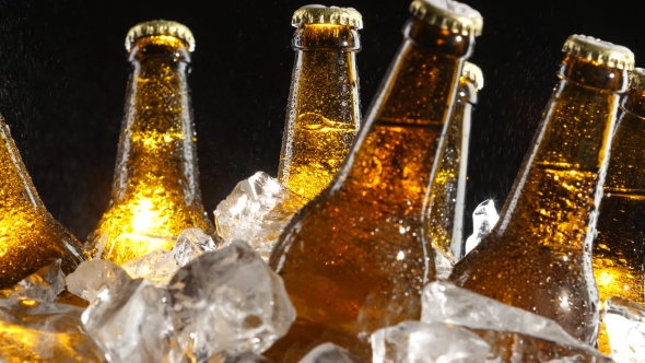 Beer Stands in the Ice, Water Flows From Above, Splashes Fall on the Glass. Black Background. alt