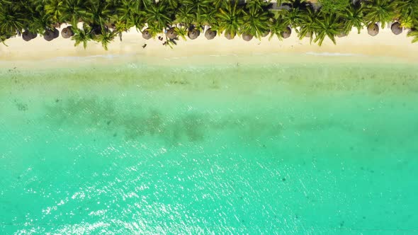 Luxury tropical beach in Mauritius. Beach with palms and blue ocean. Aerial view. Amazing Trou aux B alt