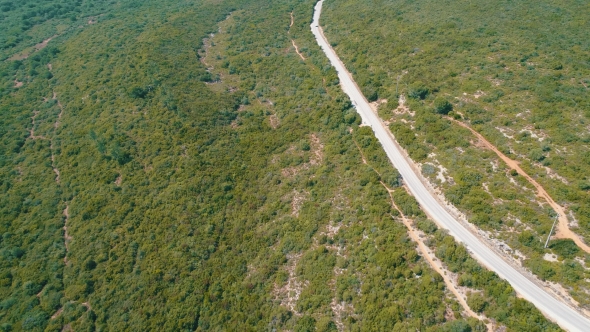 Aerial View on the Road on Hillside