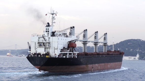 Cargo Bulk Vessel