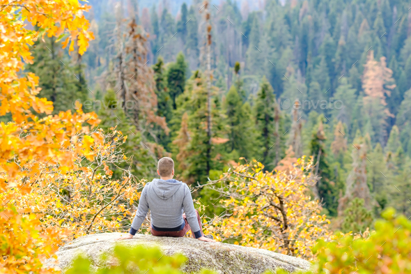 Tourist hiking in Sequoia National Park at autumn - Stock Photo - Images