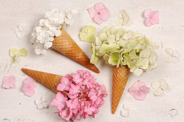 ice cream cones with hydrangea flowers