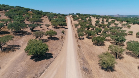 Aerial View Dirt Road in Rural Landscape