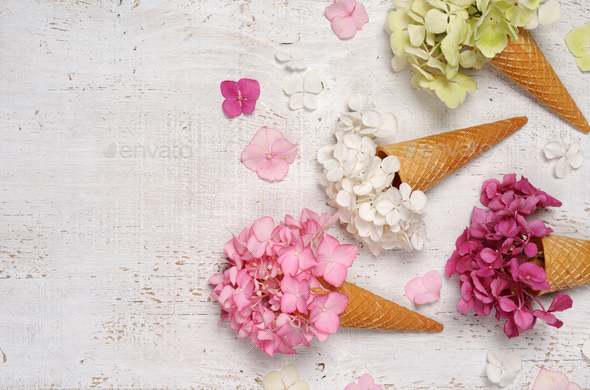 ice cream cones with hydrangea flowers