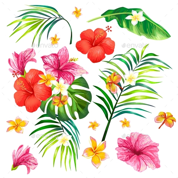 Vector Illustration of a Realistic Style Branch - Flowers & Plants Nature