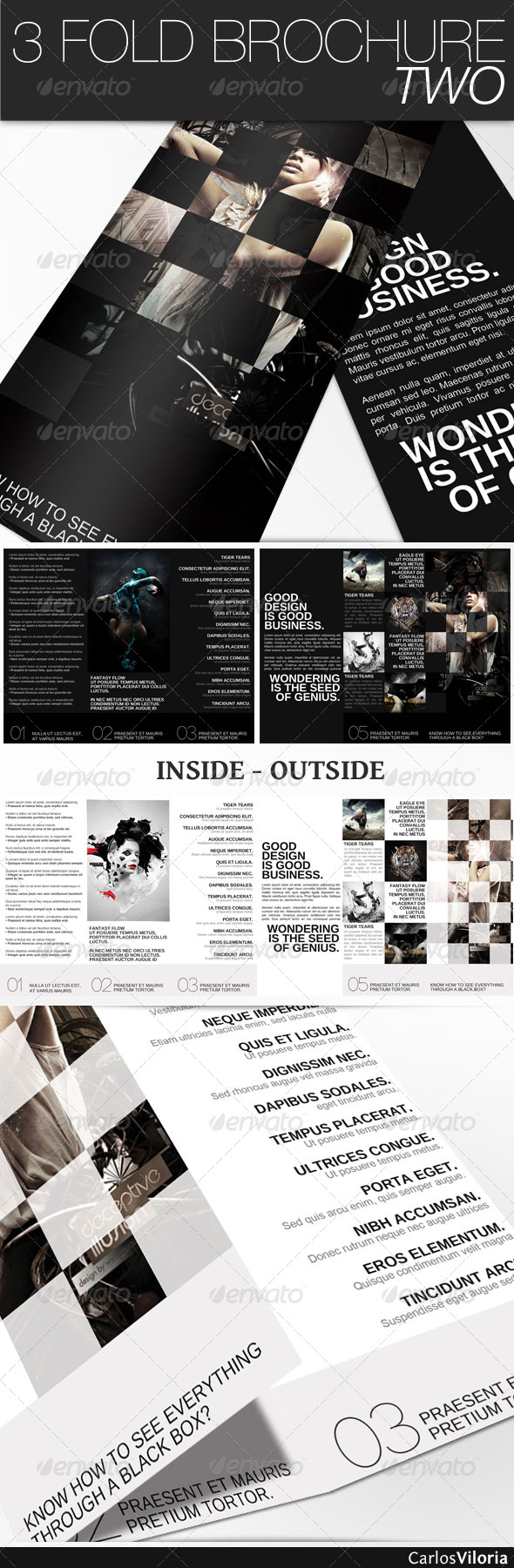 3 Fold Brochure II