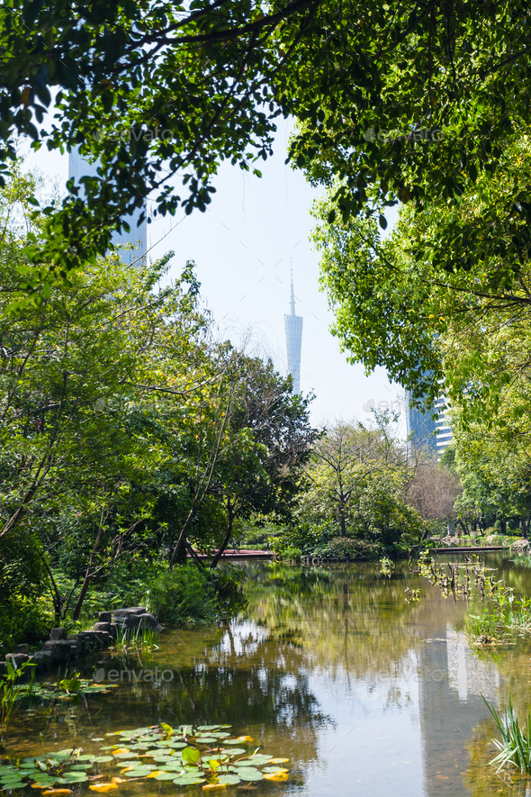 overgrown pond in Zhujiang urban park in Guangzhou