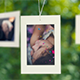 Lovely Tree Photo Gallery - VideoHive Item for Sale