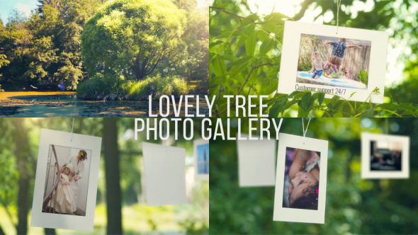 Lovely Tree Photo Gallery