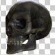 Skull Skull - VideoHive Item for Sale