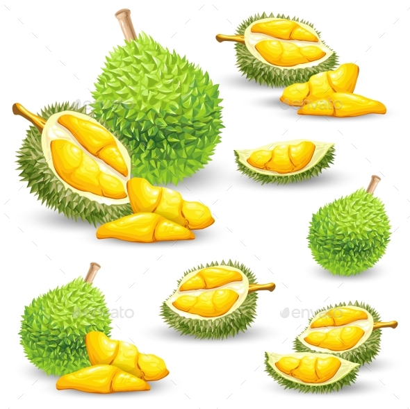 Set of Vector Illustrations, Icons of a Durian - Food Objects
