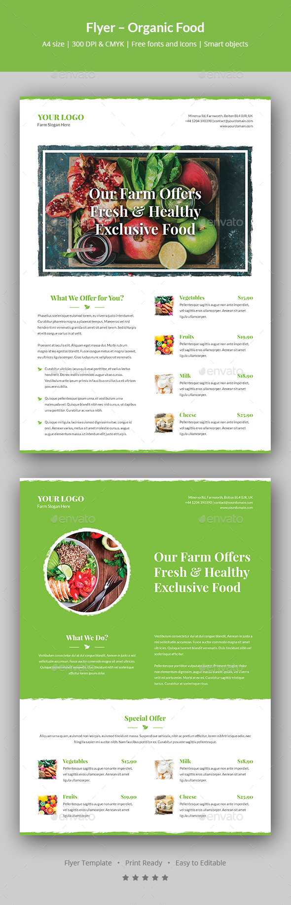 Flyer – Organic Food - Restaurant Flyers