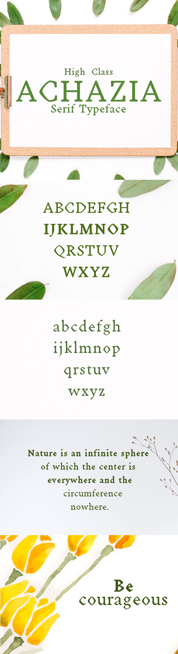 Achazia Serif Typeface - Serif Fonts