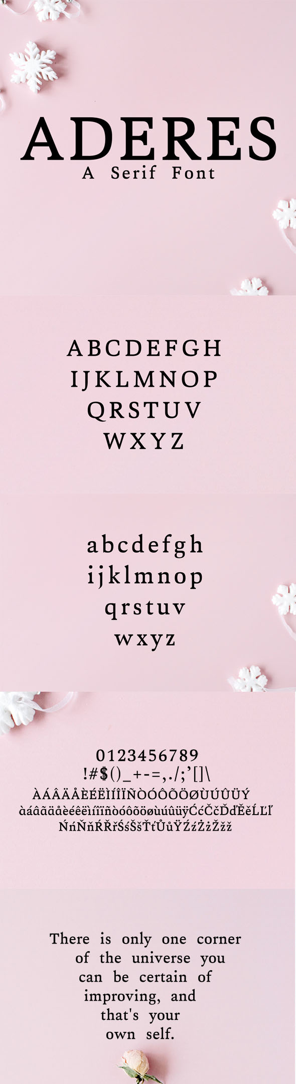Aderes Serif Font Family - Serif Fonts