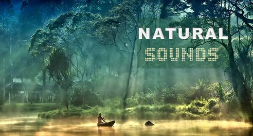 NATURAL SOUNDS