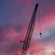 Cranes at Sunset - VideoHive Item for Sale
