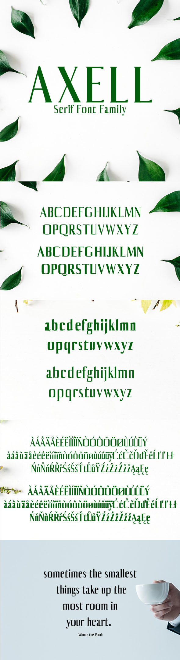 Axell Serif Font Family - Serif Fonts