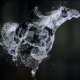 Splashing Horse Logo Reveal - VideoHive Item for Sale