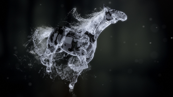 Splashing Horse Logo Reveal