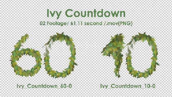 Ivy Countdown