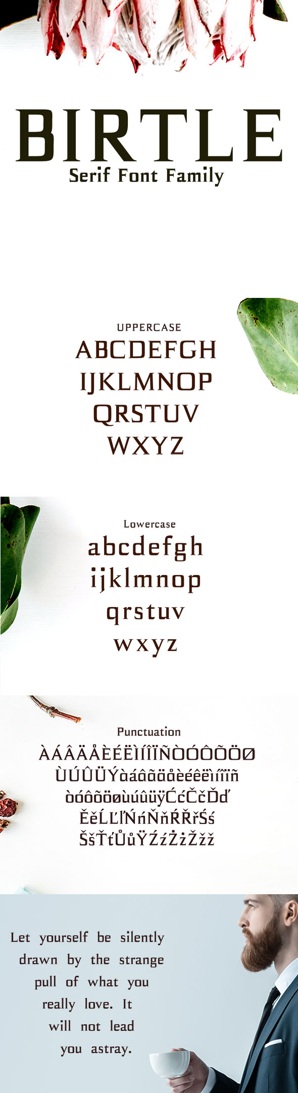 Birtle Serif Font Family - Serif Fonts
