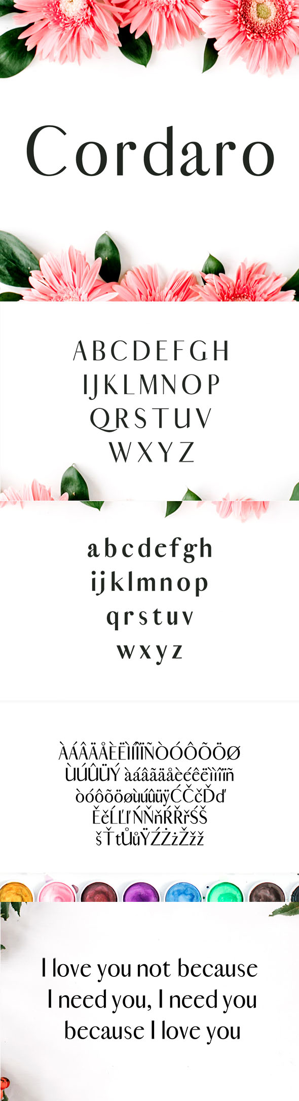 Cordaro Serif Typeface - Serif Fonts