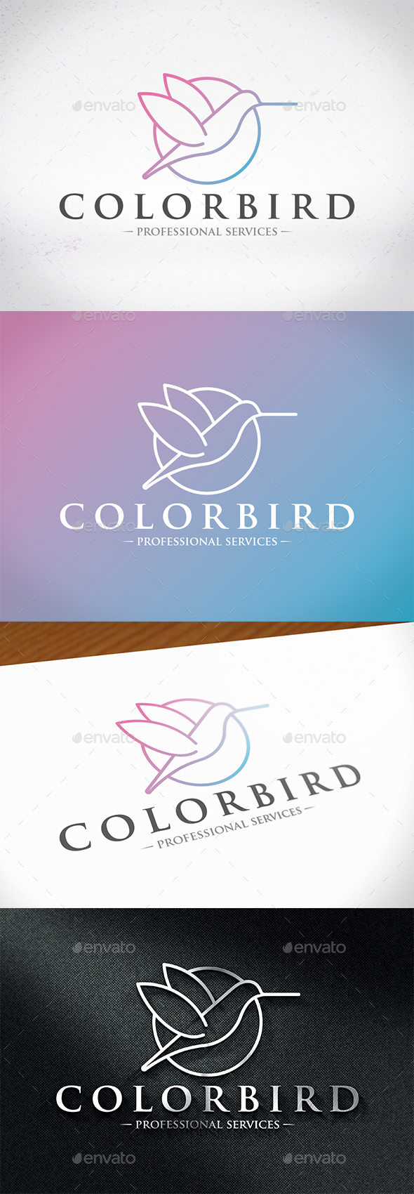 Colibri Bird Color Logo - Animals Logo Templates