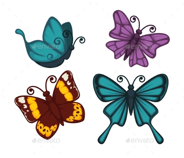 Exotic Tropical Butterflies with Unusual Elegant - Animals Characters
