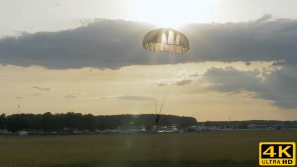 Skydiver Landing with Parachutes alt