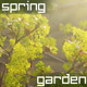 Spring Nature Background - VideoHive Item for Sale