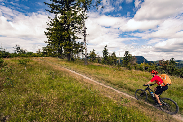 Mountain biker riding MTB in mountains and woods - Stock Photo - Images