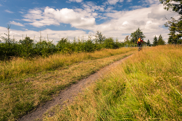 Mountain biker cycling riding in mountains and woods - Stock Photo - Images