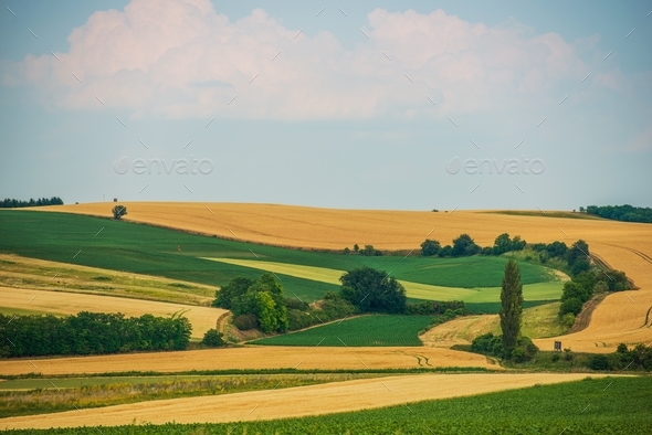 Scenic Agriculture Landscape - Stock Photo - Images