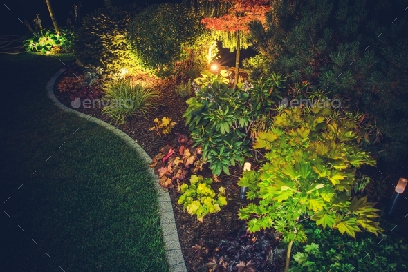 Illuminated Backyard Garden