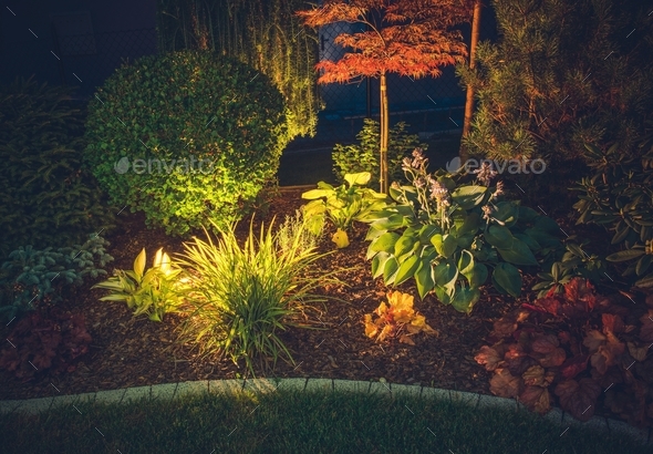 Garden Ambient Lighting