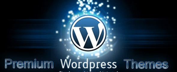 Premium wordpress themes