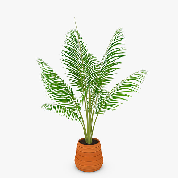 Palm Tree - 3Docean 20474328