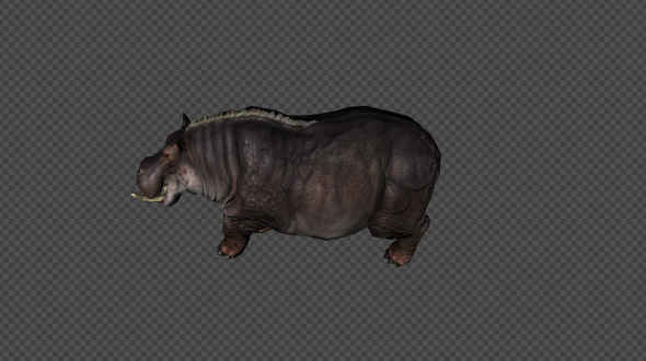 Hippopotamus Idle Pack 12 In 1