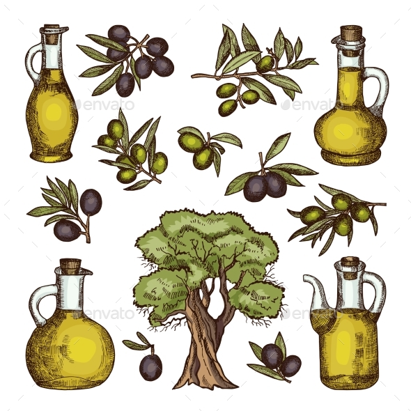 GraphicRiver Colored Illustrations of Different Olive Products 20482730 GraphicRiver Colored Illustrations of Different Olive Products 20482730