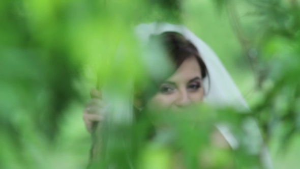 Mysterious Image of the Bride Against the Background of Green Foliage