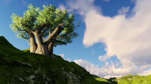 Landscape and Clouds alt