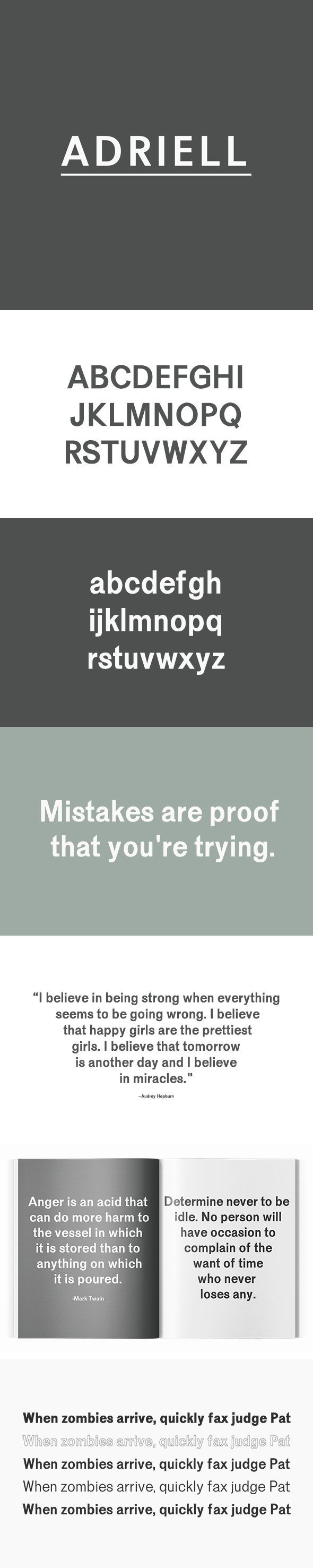 Adriell Sans Serif 5 Fonts Family - Sans-Serif Fonts